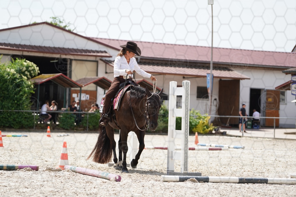 s_A9_06198.jpg